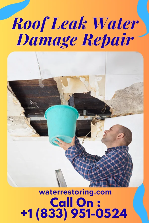 Roof Leak Water Damage Repair in Long Prairie, MN