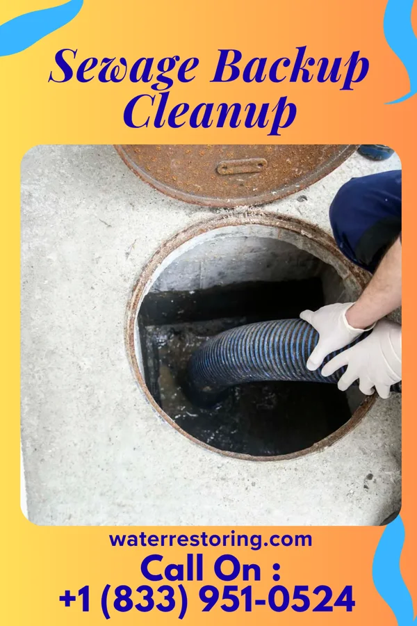 Sewage Backup Cleanup in Long Prairie, MN